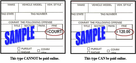 SamplePayOnlineORCourt.jpg