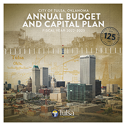 Budget cover 250x250.jpg